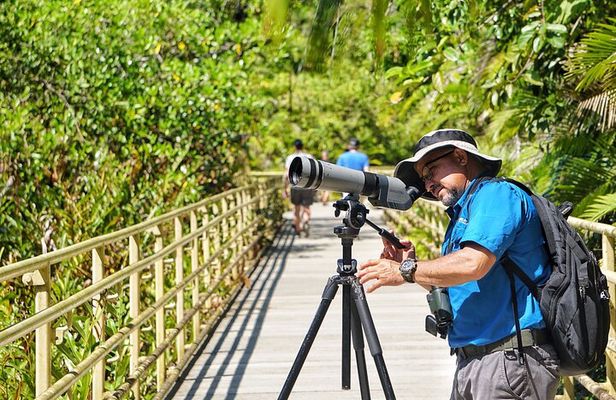 Guided Tour of the National Park Manuel Antonio
