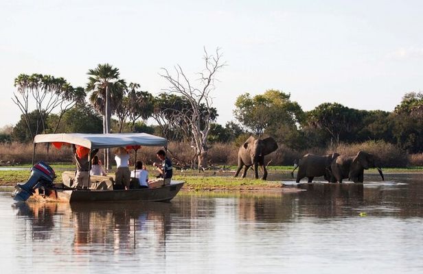 3-Days Private Nyerere NP Game Drive and Boat safari tour