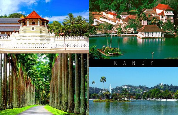 Half-Day Kandy City Tour by Tuk Tuk