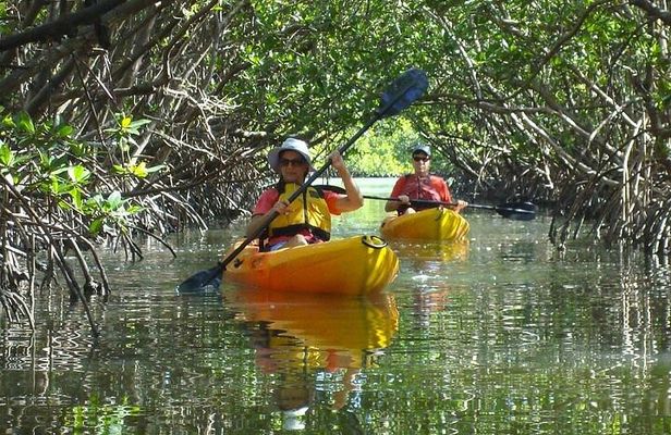 Half Day Kayak or SUP Rental (3hr) - Bunche Beach
