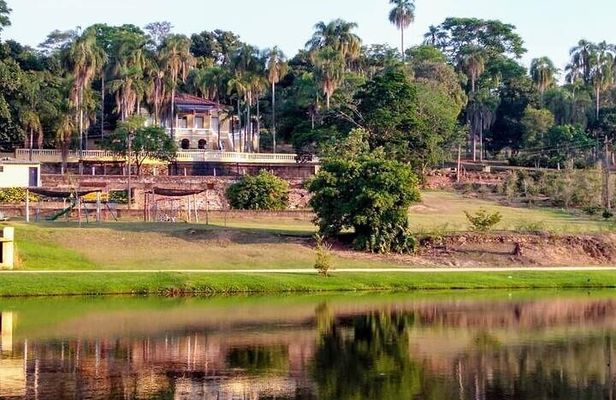 Coffee Farm Tour: Explore the Flavors of São Paulo’s Countryside
