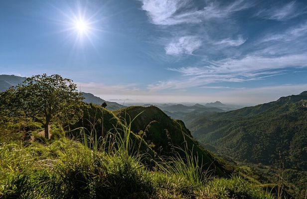 Discover Ella - Ella Rock, Little Adam's Peak & Nine Arch Bridge
