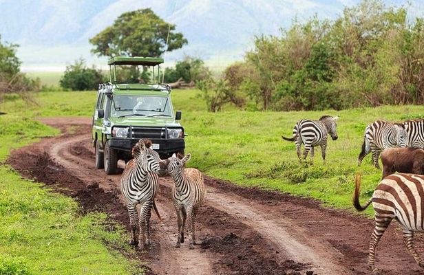 3 Day Classic, Guided Serengeti Safari
