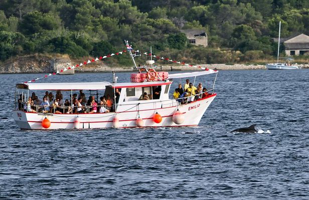 Dolphin Watching Sunset Boat Trip in Pula with Dinner