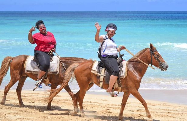 Guided Horseback Ride On The Beach With Pickup From Punta Cana
