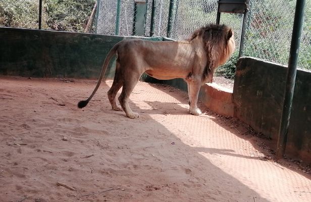Accra Zoo, Canopy Walk and Botanical Gardens Private Tour
