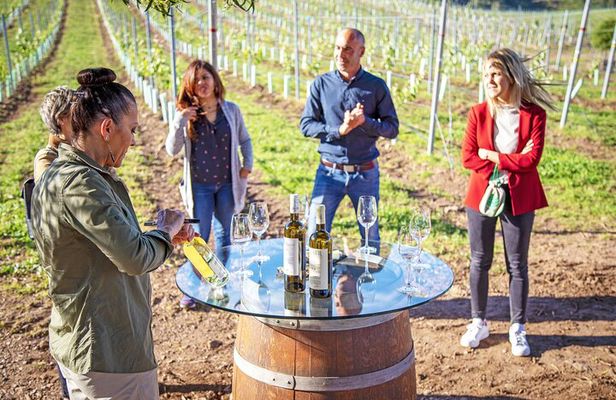 Rías Baixas Winery Tour with Albariño Tasting & Cheese Pairing