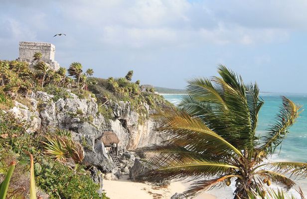 Tulum Ruins and 3 Cenotes - Jungle Adventure