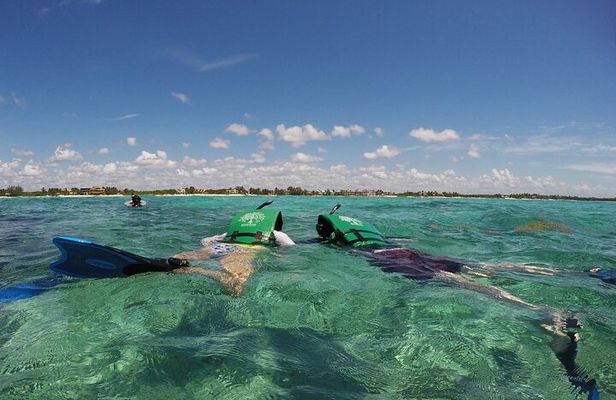 Snorkeling with Caribbean Fish