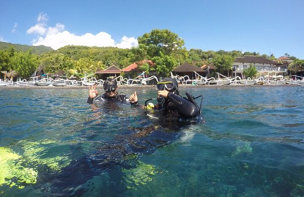 Discover Scuba Diving in Bali with photo and video