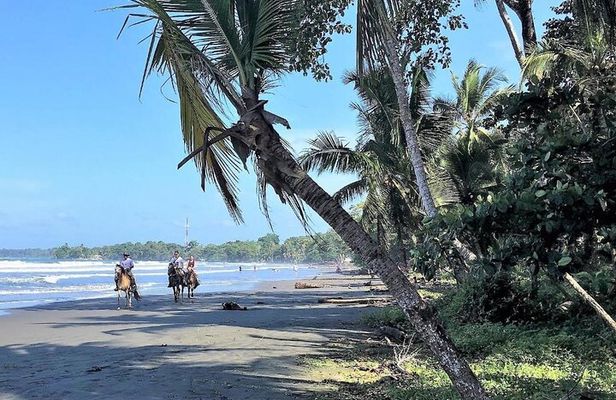 Horseback Riding & Cahuita National Park–Private Sightseeing Tour
