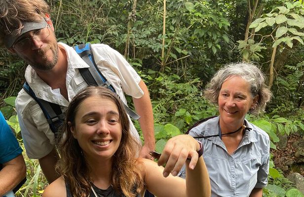 Brewers Bay Eco Hiking Tour