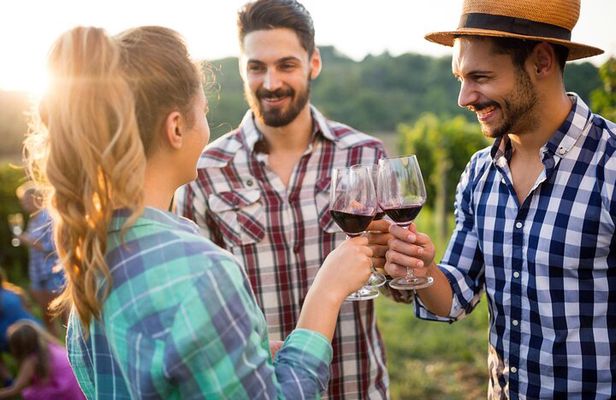 Taste + Tram the Winelands Tour: Franschhoek, Stellenbosch, Paarl