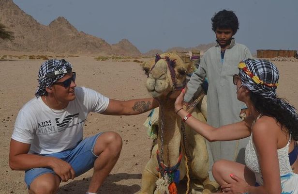 Desert Quad, Jeep, Camel and Buggy Safari with BBQ Dinner