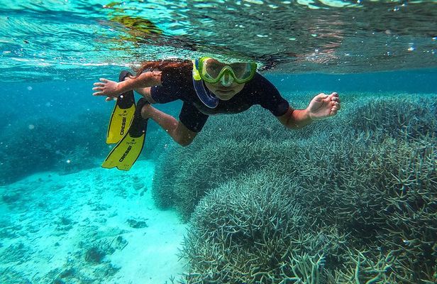 Exploring the Magnificent East of Mauritius: Full-day incl Blue Bay Marine Park