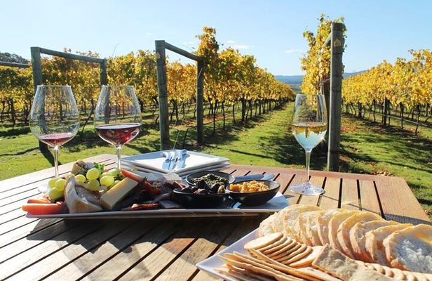 Wine tour and private cooking class 6 hours