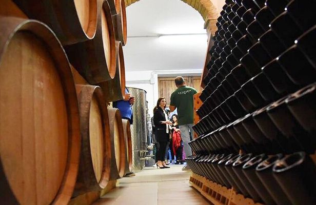 Wine Tasting and Guided Visit to the Vineyard and Cellar in S. Maria Imbaro