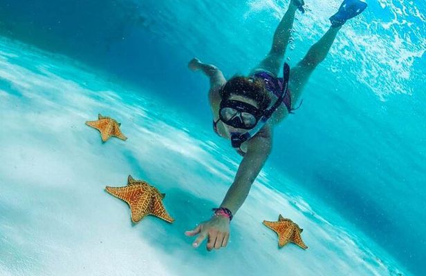 The Best Cozumel Snorkeling Tour Palancar, Colombia and El Cielo Reefs