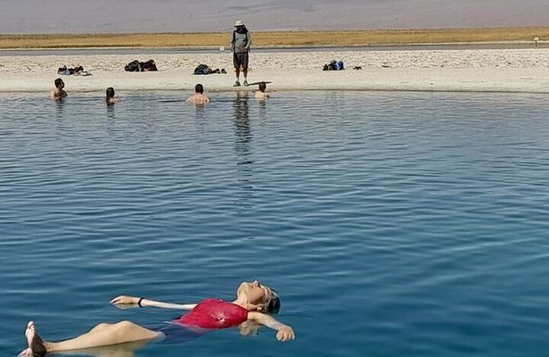 Half-Day Tour to Laguna Cejar