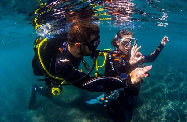 Scuba Diving Baptism Experience in Santa Cruz Tenerife
