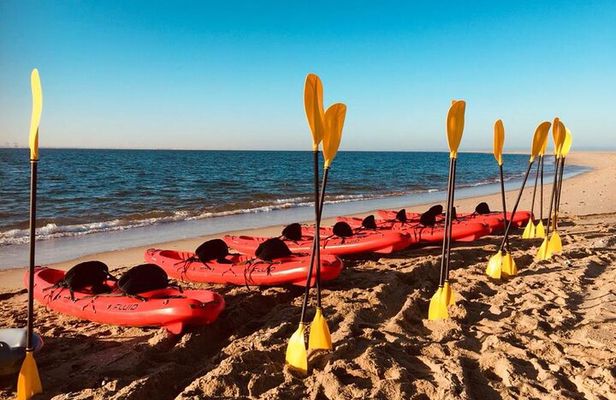 Mola Mola Kayaking Experience with a Licensed Guide