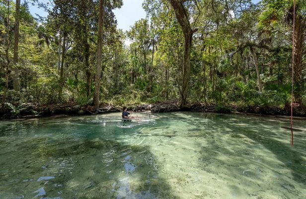 Chassahowitzka River Clear Kayak Springs & Manatee Tours