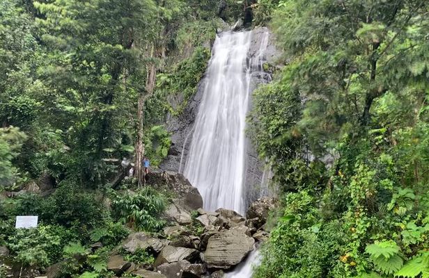 USDA El Yunque National Forest and Luquillo Beach Tour