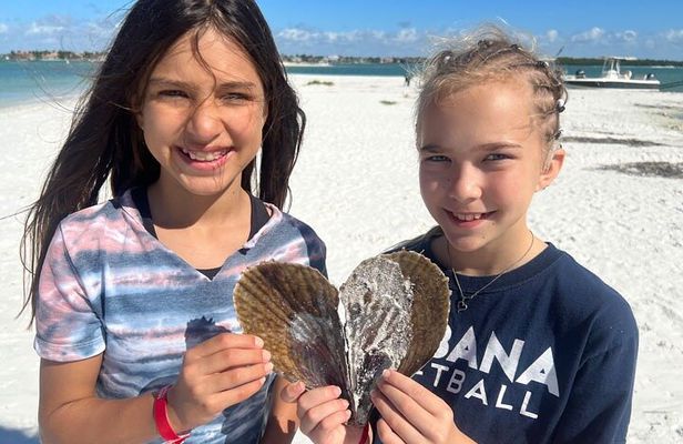 Barrier Island Shelling Tour