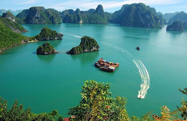Halong Bay Cruises Top Seller included Pick up & Transfers