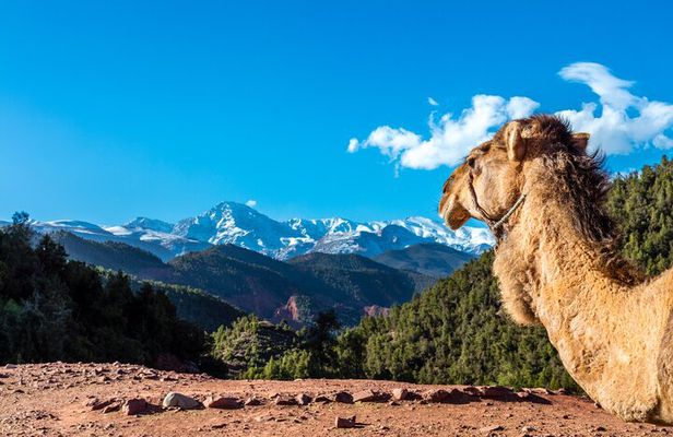 Full Day Berber Villages and Atlas Mountains 4x4 Adventure