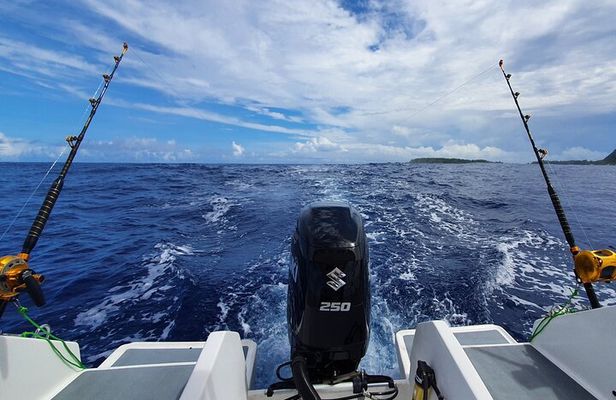 A Day of Big Game Fishing in a small group