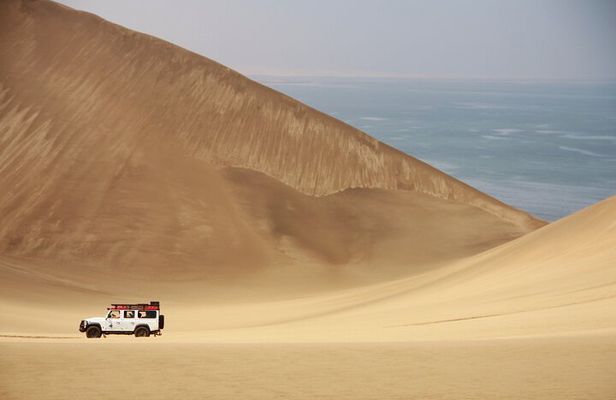 Mola Mola Marine Dune Experience