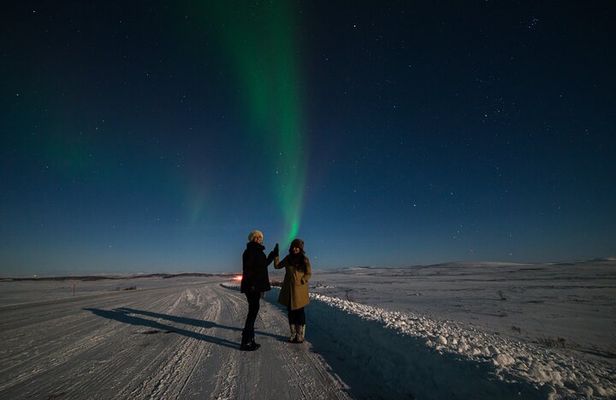 Northern Lights Hunt from Alta Cruise Harbor