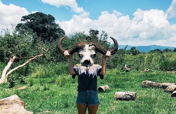 3-Day Tarangire, Lake Manyara and Ngorongoro