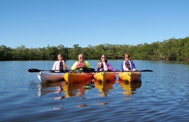 Half Day Kayak or SUP Rental (3hr) - Pelican Bay