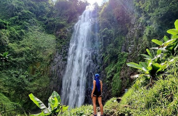 Discover Nature and Culture of Materuni Waterfall & Coffee Tour