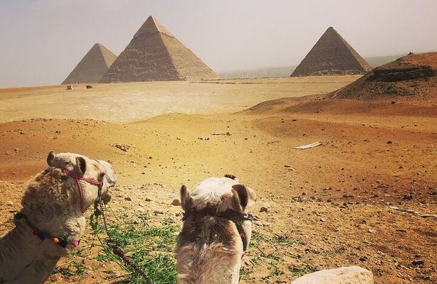Private day tour Giza pyramids,camel ride,sphinx,Sakkara, Memphes