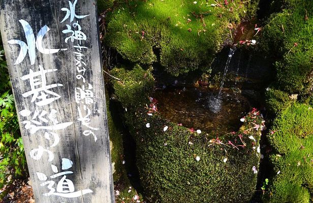 Private guided tour: Mt. Aso volcano, grasslands, Aso Shrine