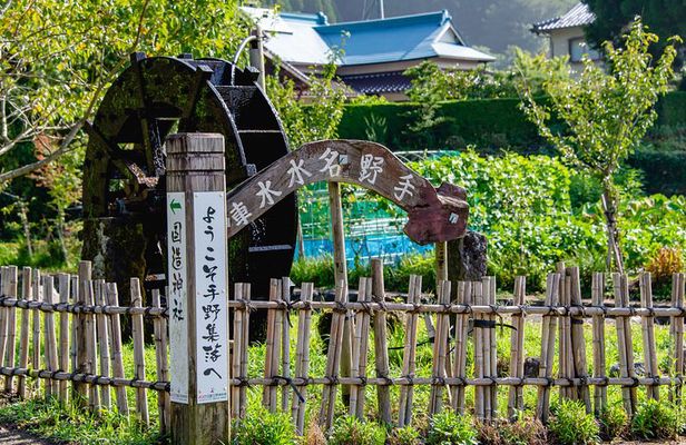 Enjoy a walk, lunch, and tea time at the 2000 years old Teno Farm Village.