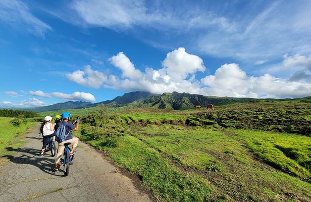Private E-MTB guided cycling around Mt. Aso volcano & grasslands
