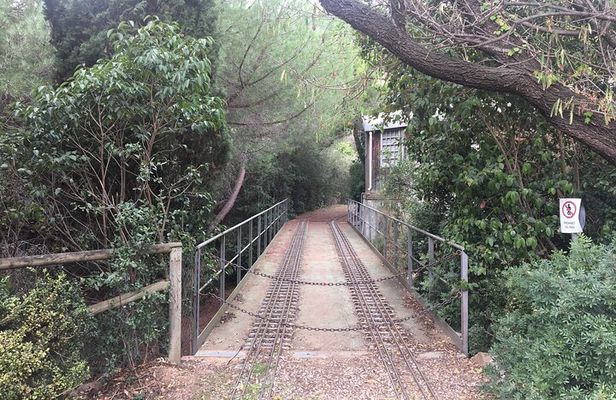 Photography route through the secret nature of Barcelona
