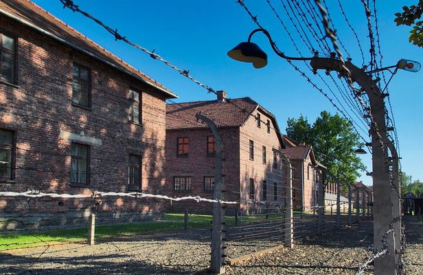 Auschwitz-Birkenau Memorial and Wieliczka Salt Mine Day Tour