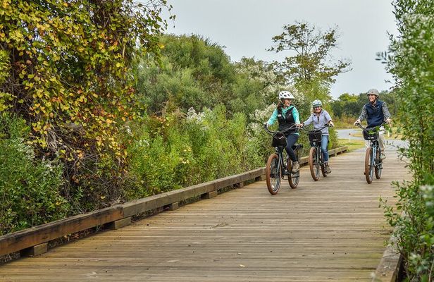 Hilton Head Guided Pedego Electric Bike Tour