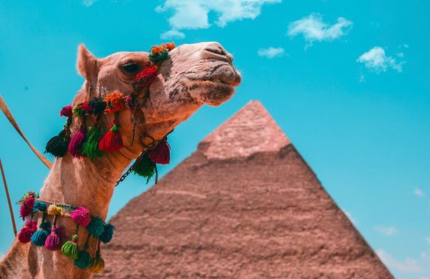 Giza, The National Museum and Khan El Khalili Private Day tour