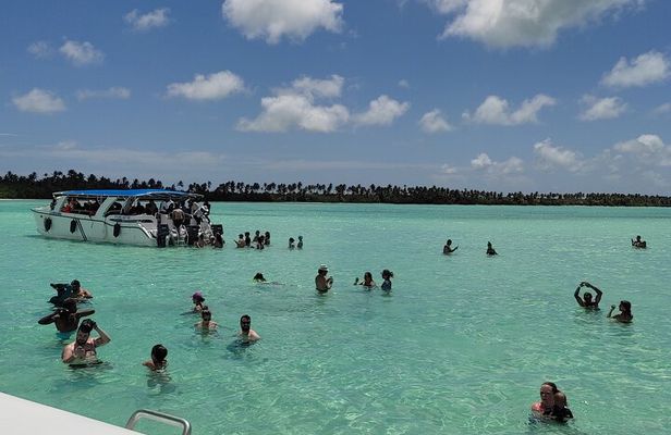 Saona Island Full Day From Punta Cana