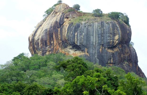 8 Days Hill Country and Coastal Tours in Sri Lanka