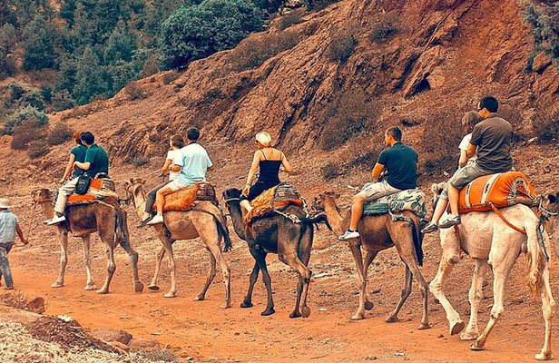Atlas Mountains Day Trip from Marrakech and Three Valleys Guided Tour