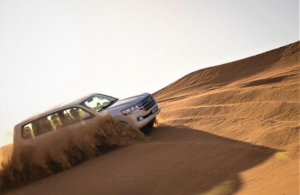 Dubai Red Dunes with Sandboarding, Camel Ride, Falcon & VIP Camp