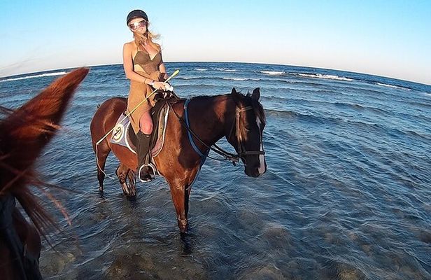 El Gouna Horse Ride Tour
