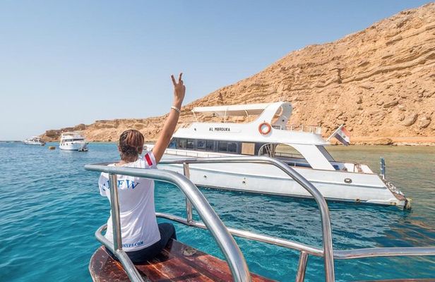 Snorkeling Day Trip to White Island and Ras Mohamed from Sharm